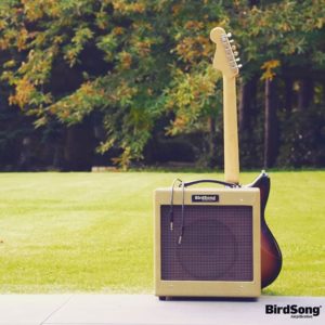 Kestrel - '57 Tweed Princeton - Image 2