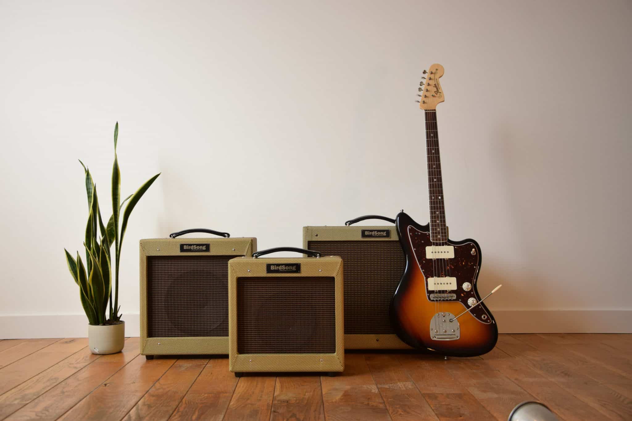 Boutique guitar amplifiers BirdSong Boutique guitar amplifiers BirdSong Champ princeton tweed deluxe